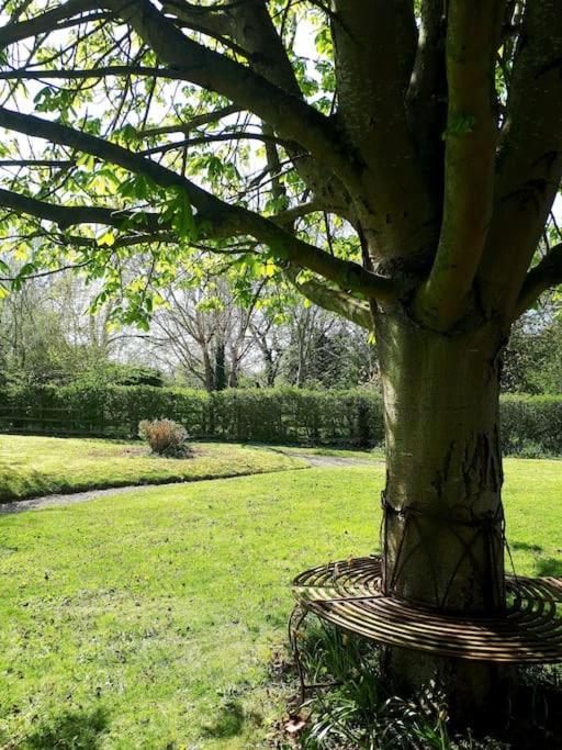 Host & Stay - Clara Cottage Bretforton Εξωτερικό φωτογραφία